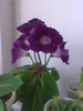 5.05.2010