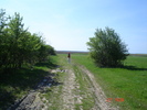 DSC00183