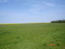 DSC00185