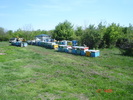 DSC00188