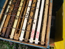 DSC00193