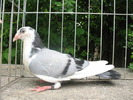 IMG_9400
