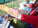 DSC00211