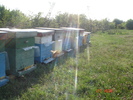 DSC00215