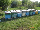 DSC00216