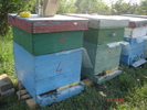 DSC00217