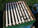 DSC00220