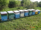 DSC00238