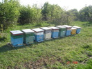 DSC00239