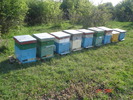 DSC00241