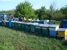 DSC00242