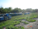 DSC00243