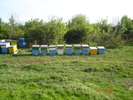 DSC00246
