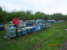 DSC00066