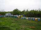 DSC00069