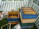 DSC00078