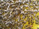 DSC00086