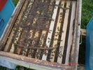 DSC00087