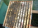 DSC00088