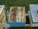 DSC00090