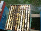 DSC00092