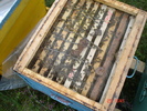 DSC00094