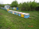 DSC00101