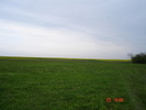 DSC00103