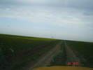 DSC00123