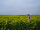 DSC00126
