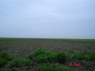 DSC00129