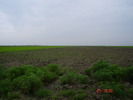 DSC00130