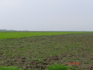 DSC00131