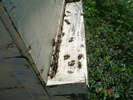 DSC00006