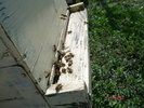 DSC00007