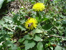 DSC00018