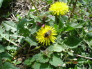 DSC00019