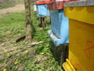 DSC00022
