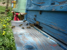 DSC00023