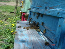 DSC00026