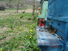DSC00030