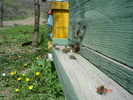 DSC00032