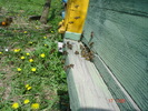 DSC00035