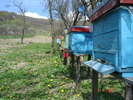 DSC00036