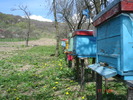 DSC00037
