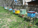 DSC00038