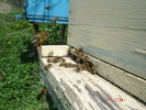 DSC00043