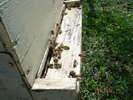 DSC00045