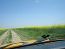 DSC00358