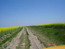 DSC00357